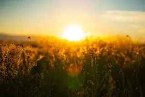 katlyn boone efe3IfUqnfY unsplash